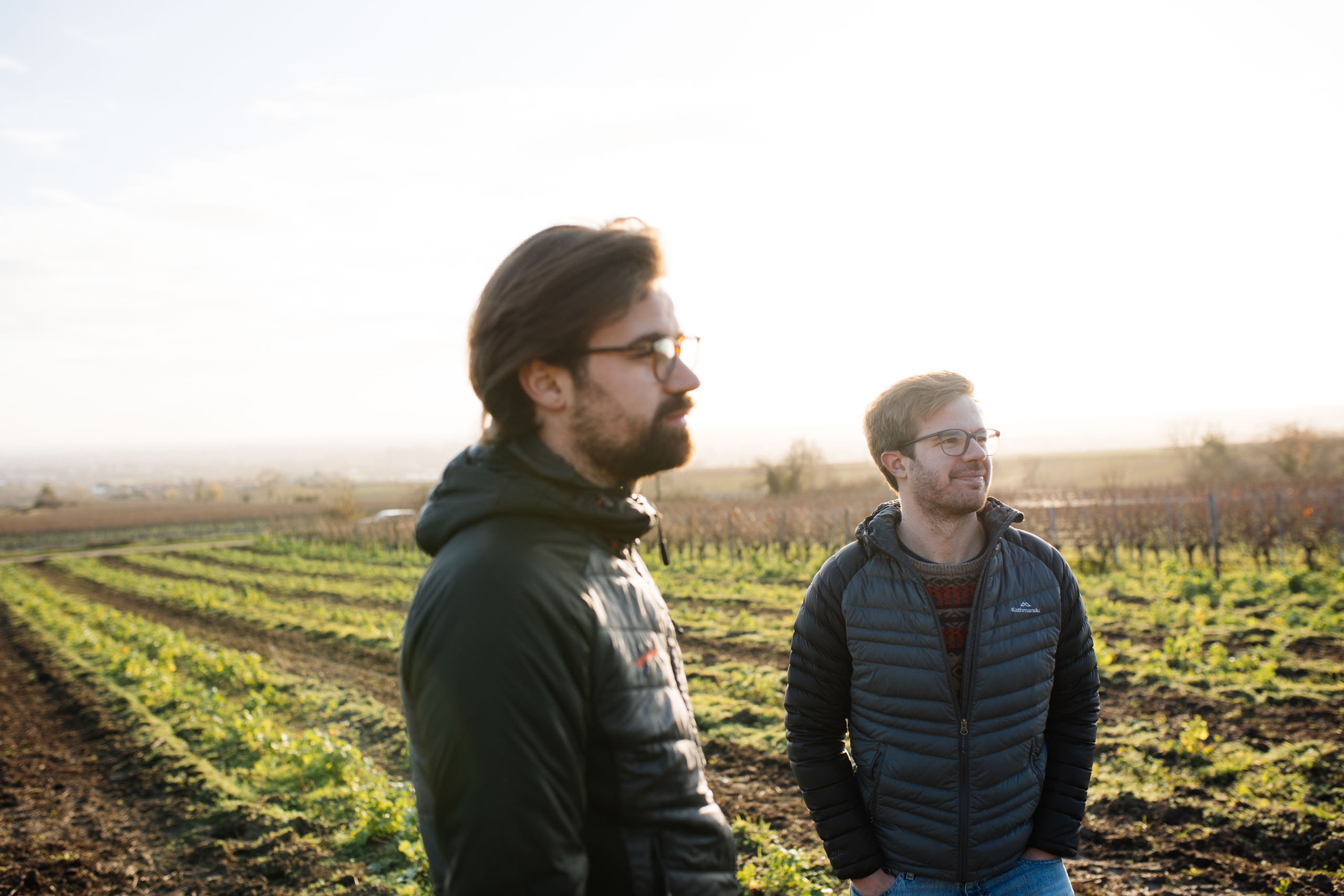 Weingut Scheuermann Ursprung